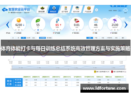 体育体能打卡与每日训练总结系统高效管理方案与实施策略