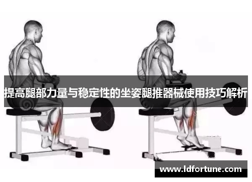 提高腿部力量与稳定性的坐姿腿推器械使用技巧解析