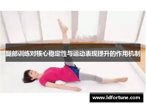 腿部训练对核心稳定性与运动表现提升的作用机制